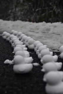 深蓝SL03，寒时上山，与雪寻欢