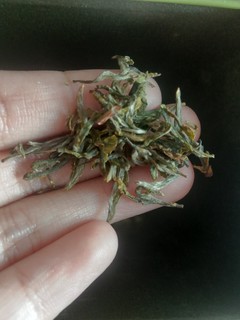 我看谁还没买这个茉莉花茶！