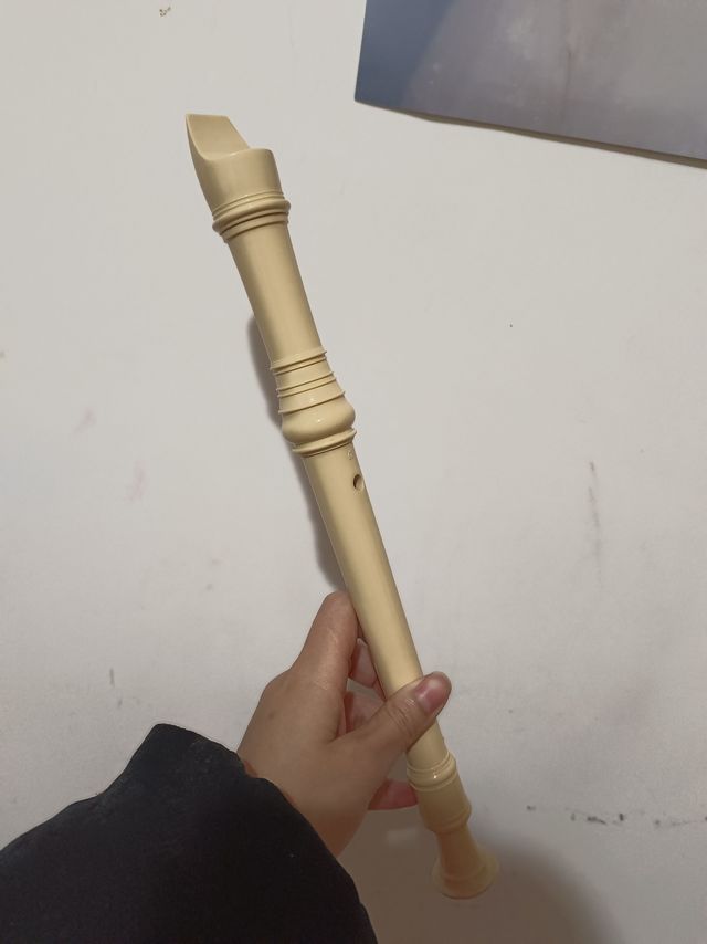 初学者使用的竖笛