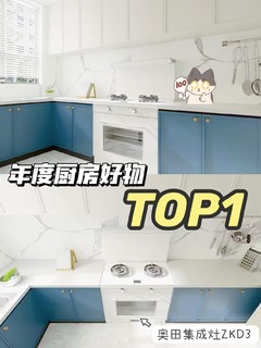 奥田集成灶，俺的年度厨房好物盘点TOP1！！
