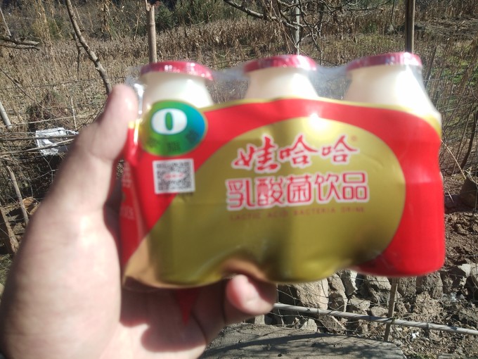 娃哈哈乳饮料