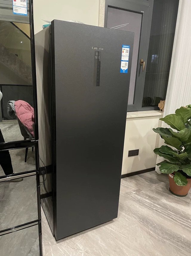 Casarte/卡萨帝227升风冷无霜冷柜-40℃