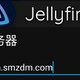 jellyfin手机端连接SSL域名失败的解决办法