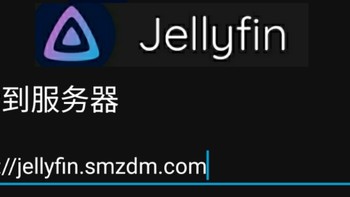 NAS 篇一：jellyfin手机端连接SSL域名失败的解决办法 