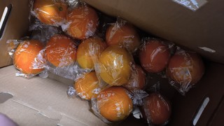 杨氏橙子一般般