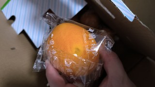 杨氏橙子一般般