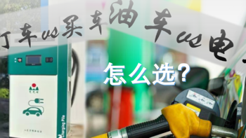 出去玩 篇十九：买不买车？买电车还是油车？我当初是这么考虑的