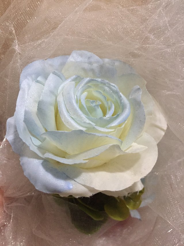 高颜值的永生花送给t超级加分好吧