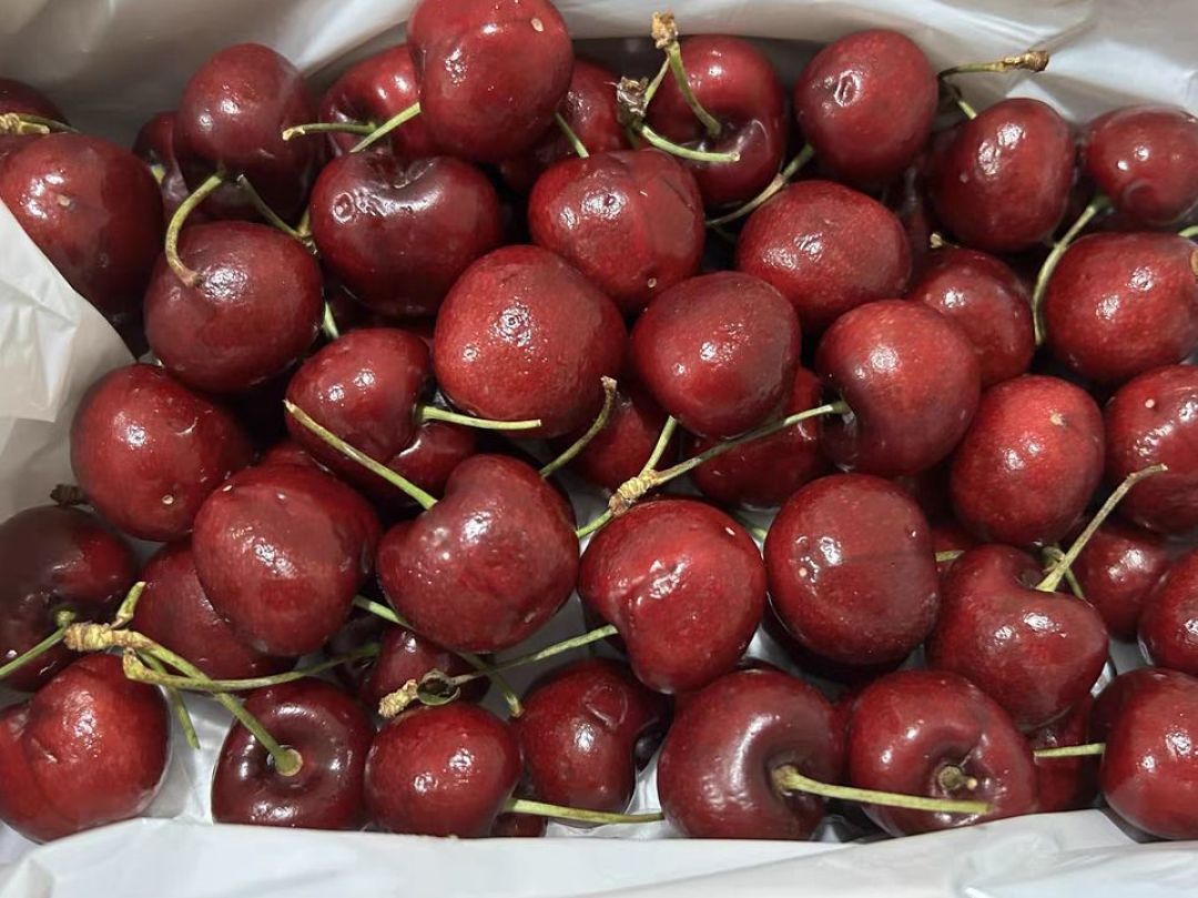 车厘子水果中的钻石