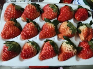 四川大凉山草莓