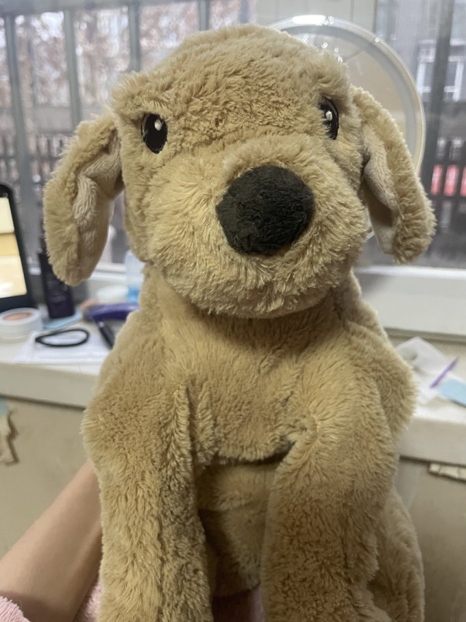 我真的感觉宜家所有的小狗里就这只最可爱啦乖乖的 毛也软软的!