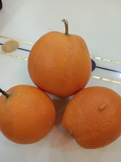 橙子的美味你想象不到😍