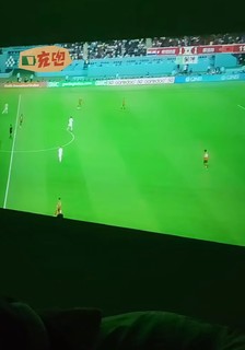 和小猫咪一起回看世界杯