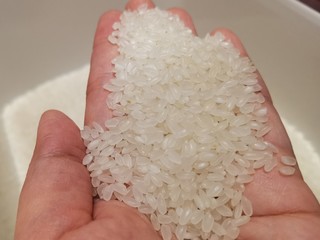 你家过年吃大米吗？来碗裕道府好饭。