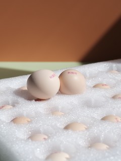 能够生食的鸡蛋蛋是不是智商税？