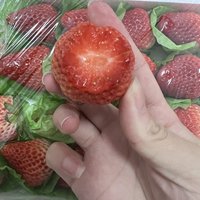 #这样的草莓也太好吃了吧
