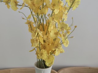增添客厅氛围的小黄花