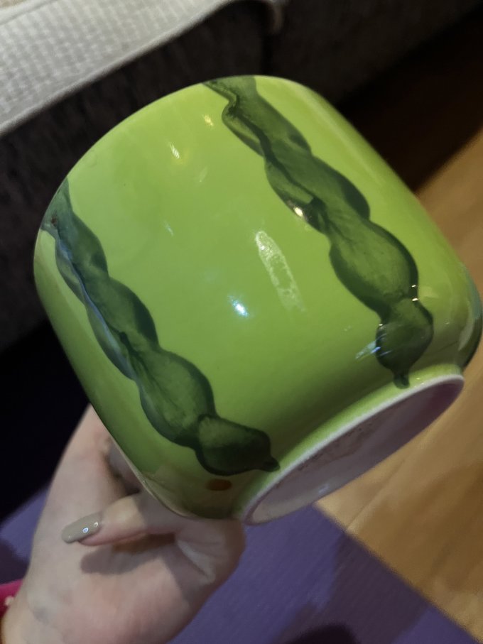 the green party陶瓷杯怎么样 创意西瓜杯子 早餐装燕麦牛奶特别nice!