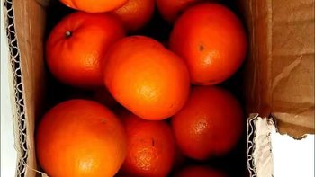 【正宗】广西武鸣沃柑贵妃柑新鲜橘子水果特价应季水果薄皮桔子