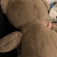 可爱的抱枕泰迪熊