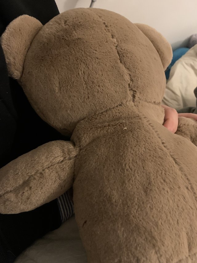 可爱的抱枕泰迪熊