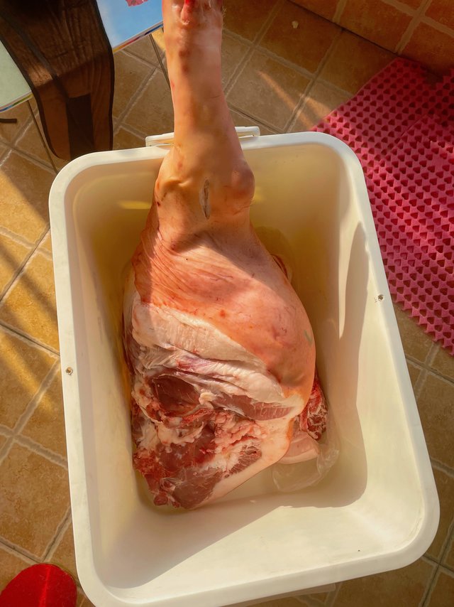第一次见到这么大的猪腿肉，惊讶住了
