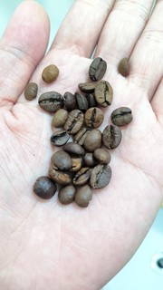 少见的葡萄牙进口咖啡豆nicola的初品鉴