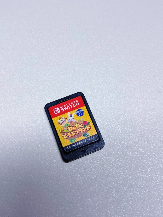 任天堂主机游戏怎么样 00后switch 女孩游戏推荐|高高兴兴动物园_什么