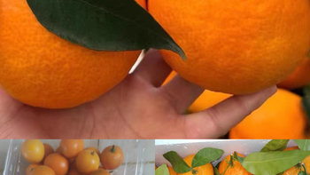 过年篇：橙色水果也很喜庆哦，祝大家来年心想事“橙”