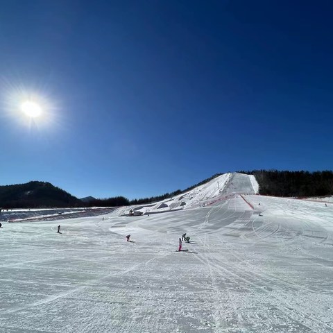 从哪里跌倒 就从哪里滑下去---小白滑雪（摔跤）记