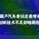 国产汽车看似逆袭增长，但创新技术不足却暗藏隐患。