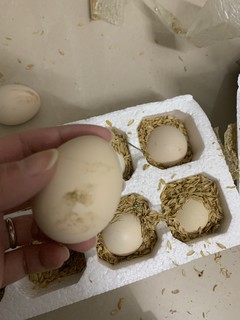 两块钱六个鸡蛋也划算，只是蛋有点小