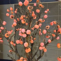 提升幸福感的家居好物 篇一百五十九：超级漂亮的家居柿子树