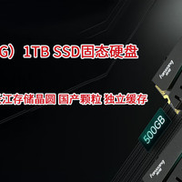 国产颗粒梵想（FANXIANG）1TB M.2 SSD固态硬盘购入体验