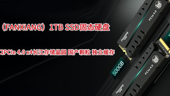 国产颗粒梵想（FANXIANG）1TB M.2 SSD固态硬盘购入体验