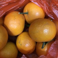 过年这款橘子你们炫了吗？🍊