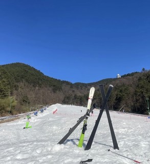 冬天了该滑雪了