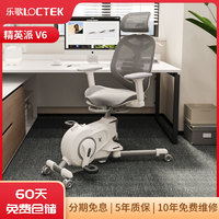 乐歌健身椅电脑椅健身椅二合一办公室健身椅可调节人体工学椅V6