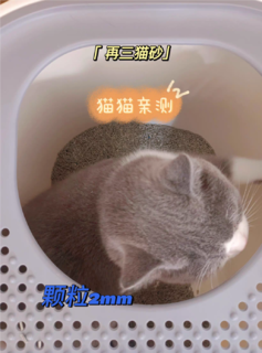 再三混合猫砂亲测|猫猫我先来