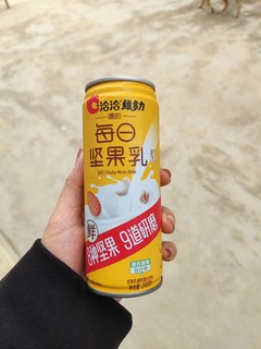 过年囤货饮品丨每日坚果乳