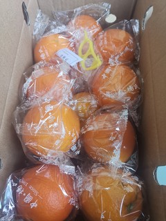 春节水果之甜橙