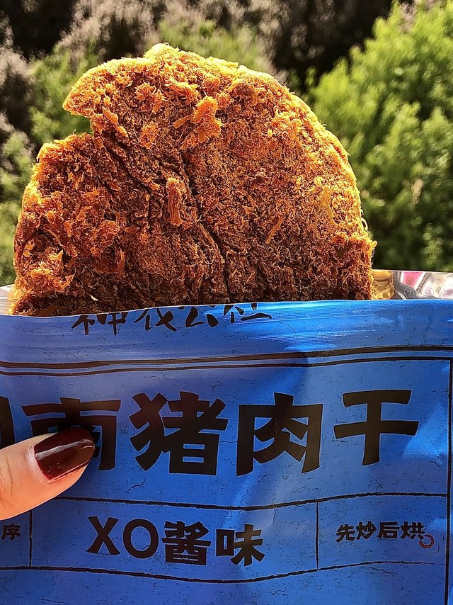 超大块的闽南猪肉干 不要错过！