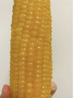 又又又发现了一个好吃的糯🌽！！