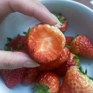 世界上最最好吃的草莓了