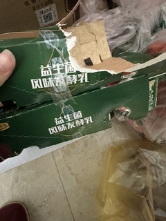 益生菌风味发酵乳大家喝过吗