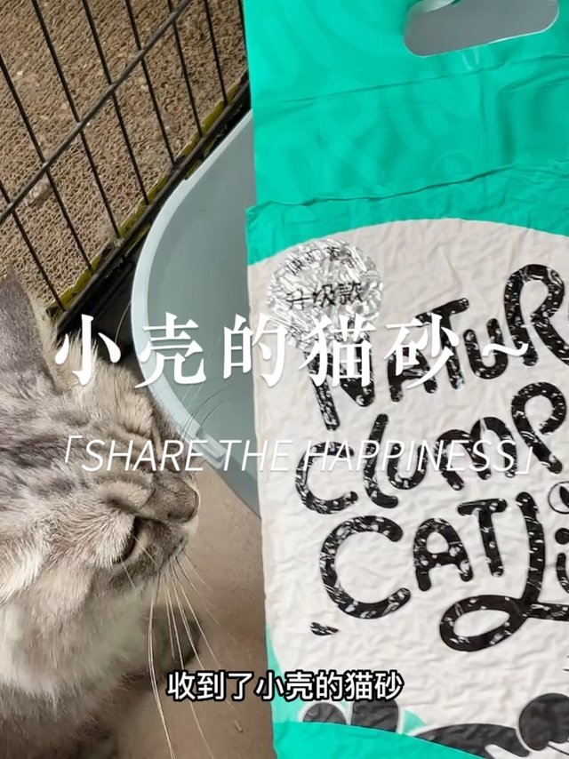 太！好！用！啦！小壳的猫砂