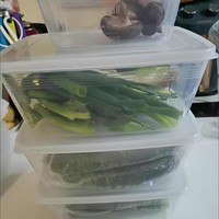 绿色蔬菜透明保鲜盒子