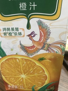 新年飞扬