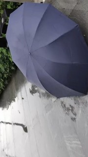 超大的天堂雨伞