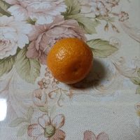 又甜又嫩的砂糖橘！